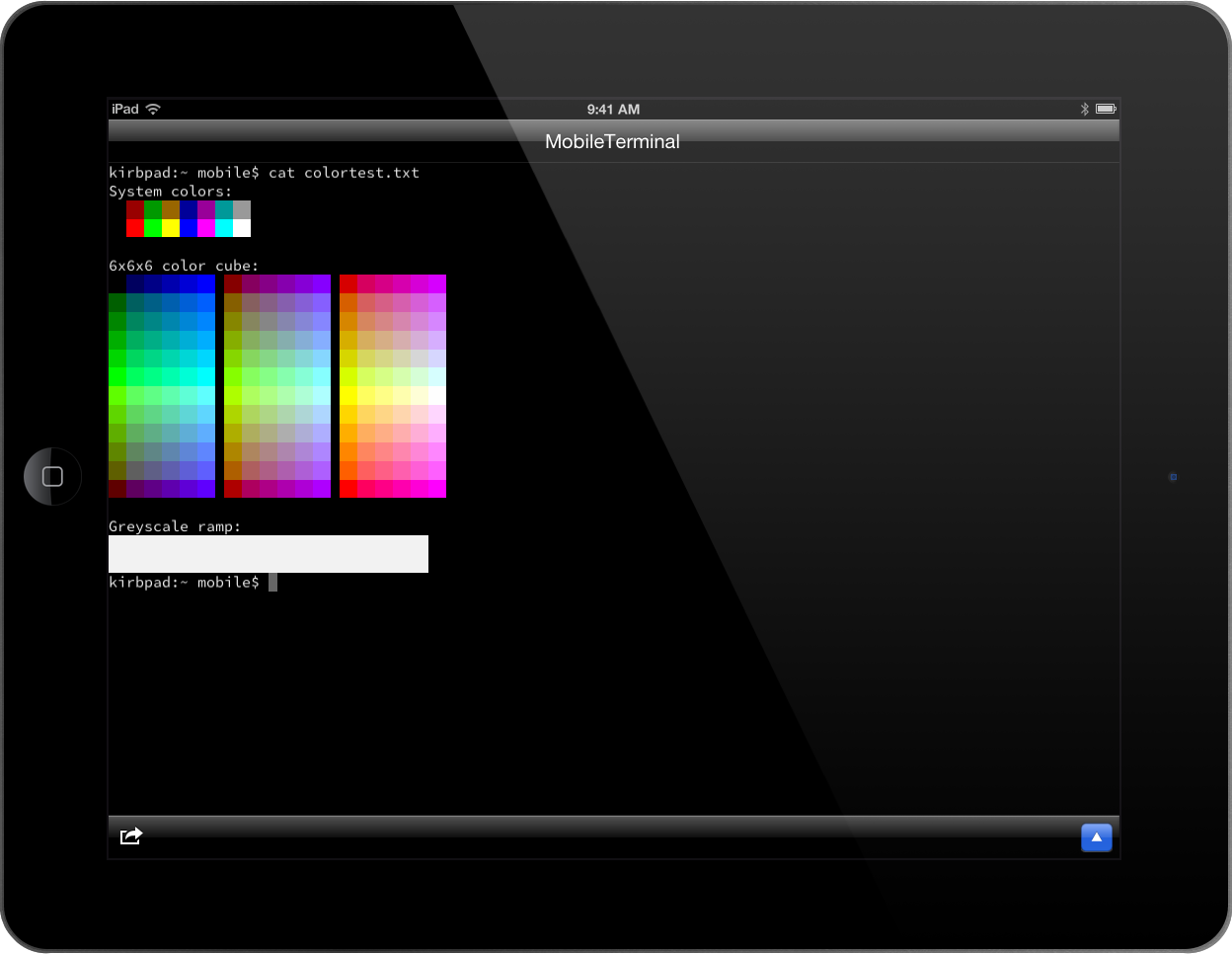 NewTerm 256 color support